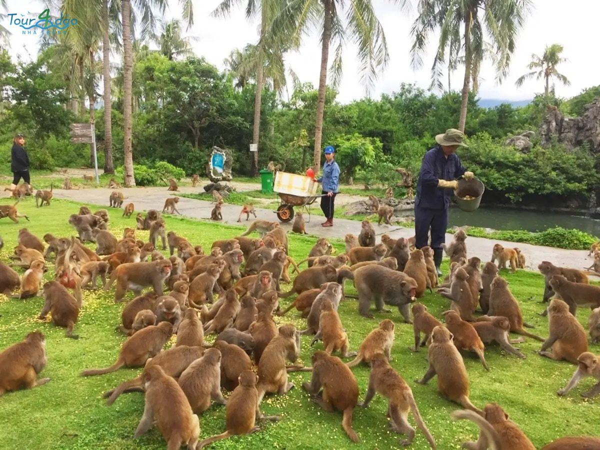 đảo ở Nha Trang