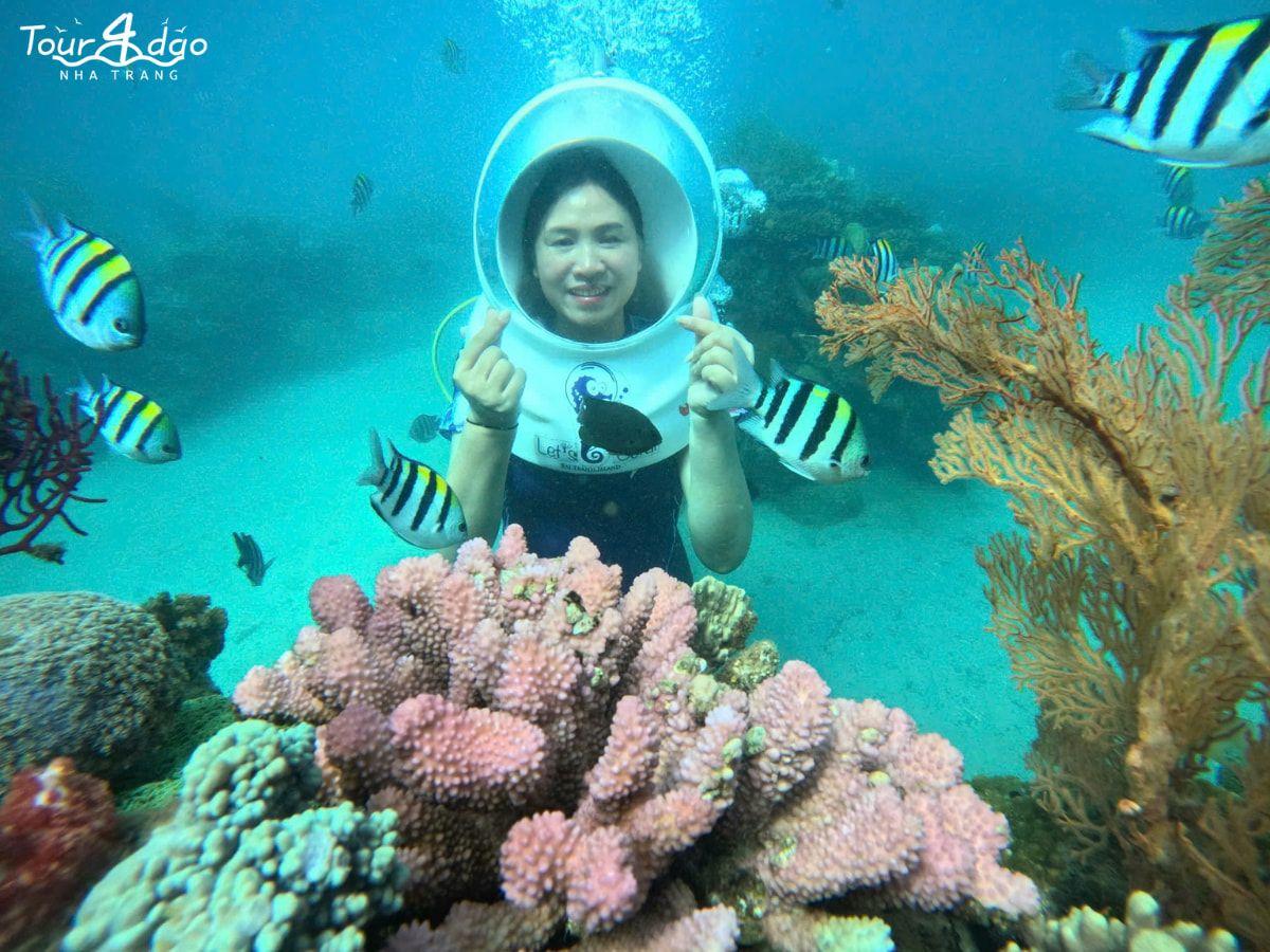 tour 4 đảo vip robinson