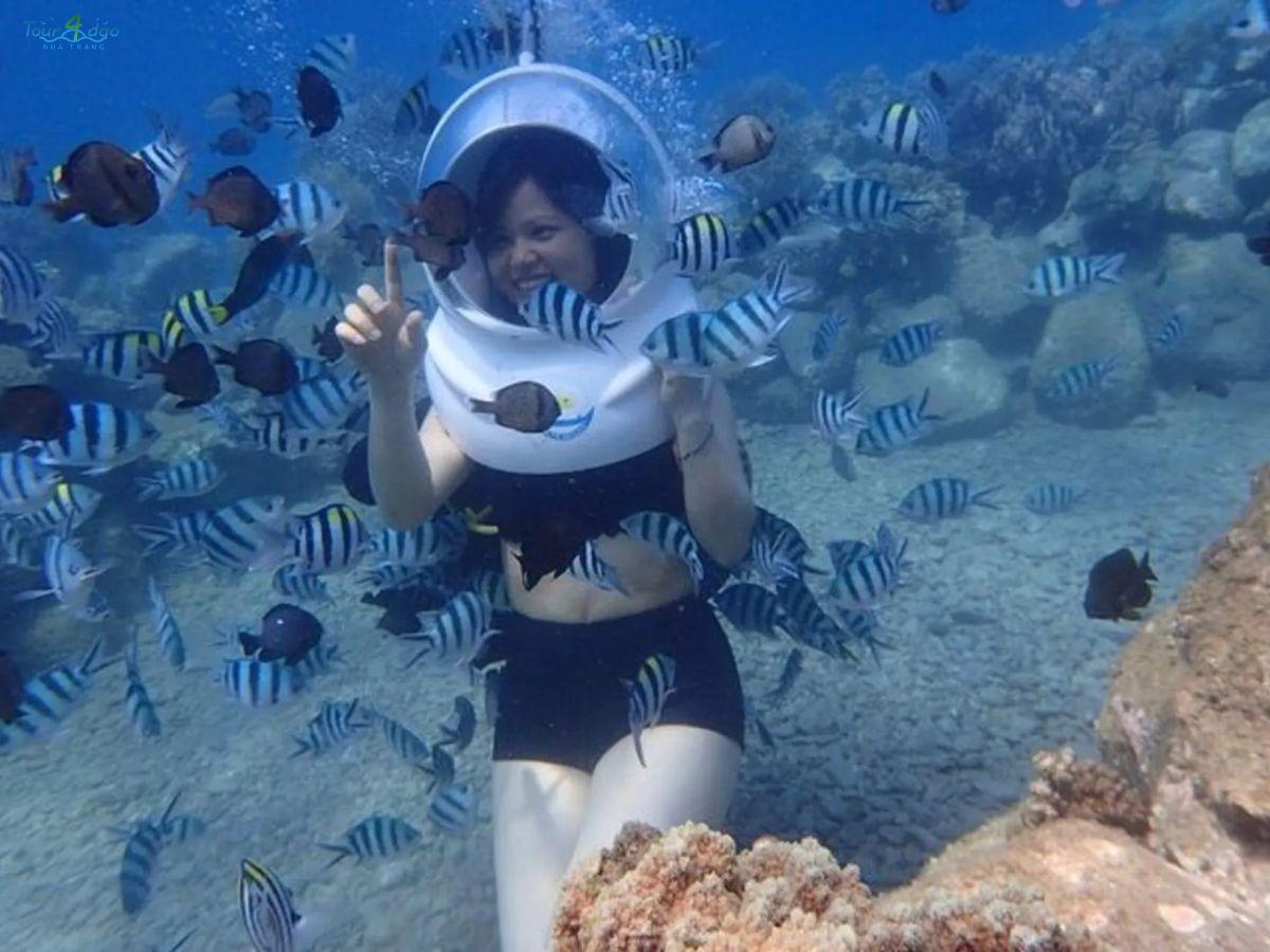 tour đi bộ dưới biển nha trang