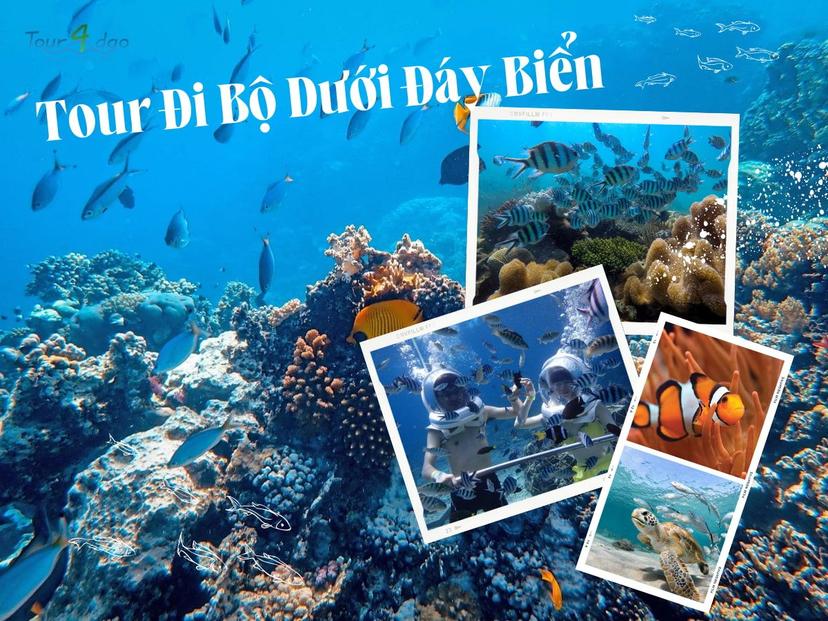 Tour Đi Bộ Dưới Biển Nha Trang  