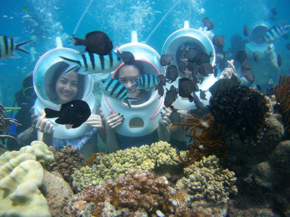 tour hòn mun nha trang