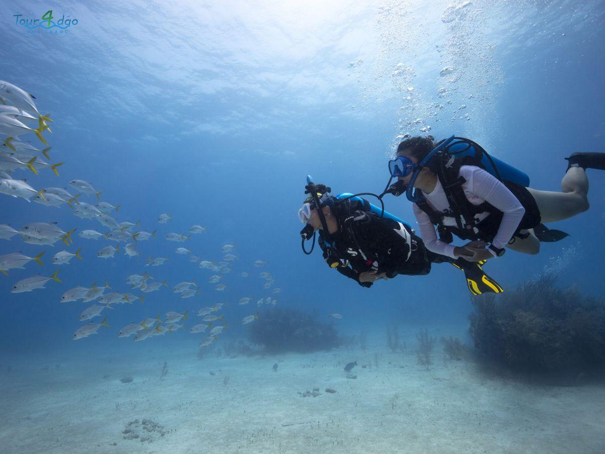 tour lặn biển nha trang